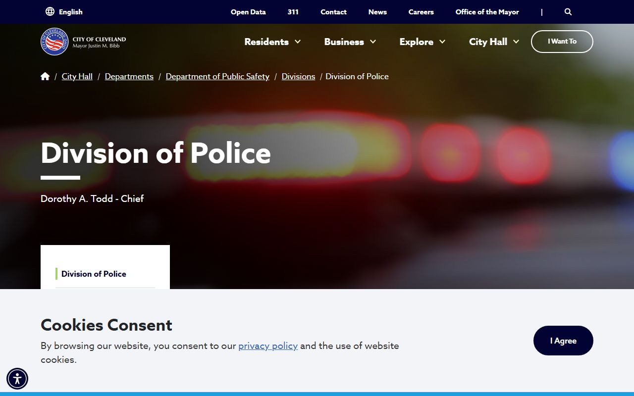 Cleveland recent bookings Division of Police website