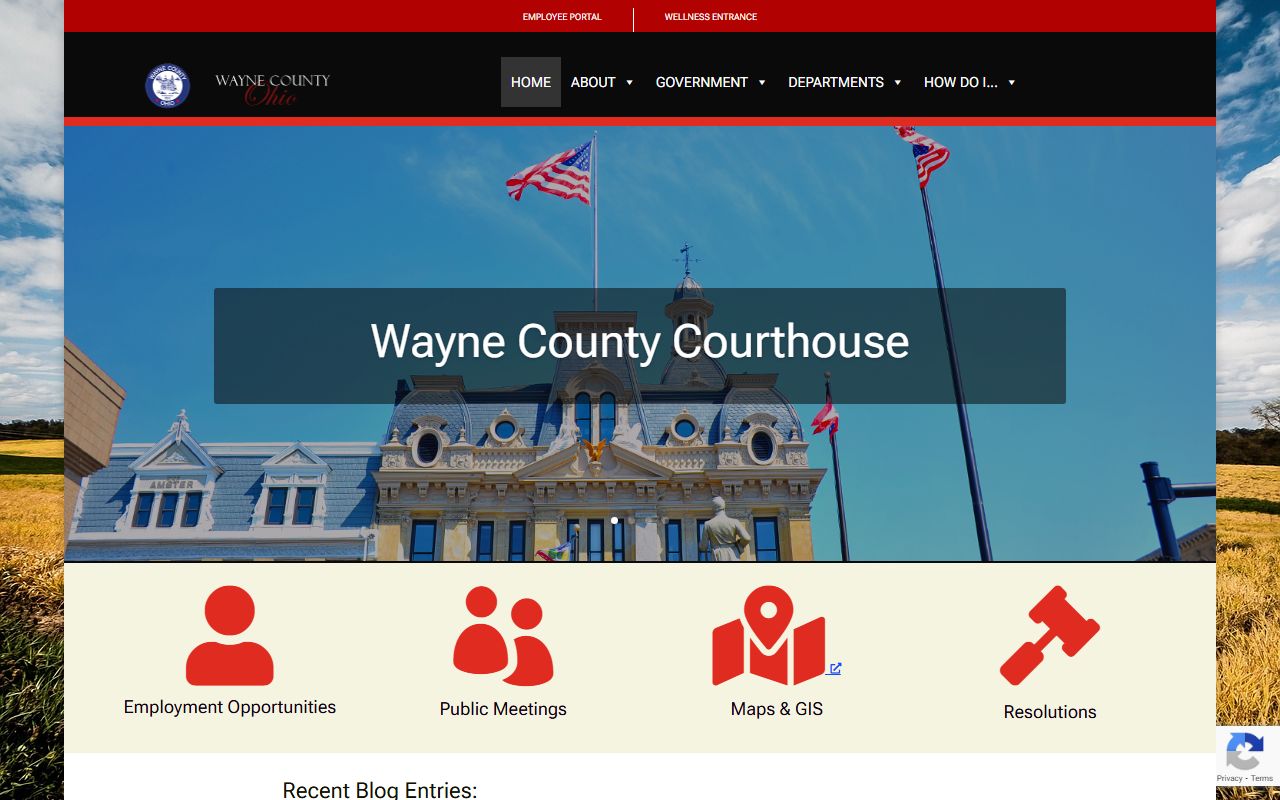 Wayne County recent bookings government resources website